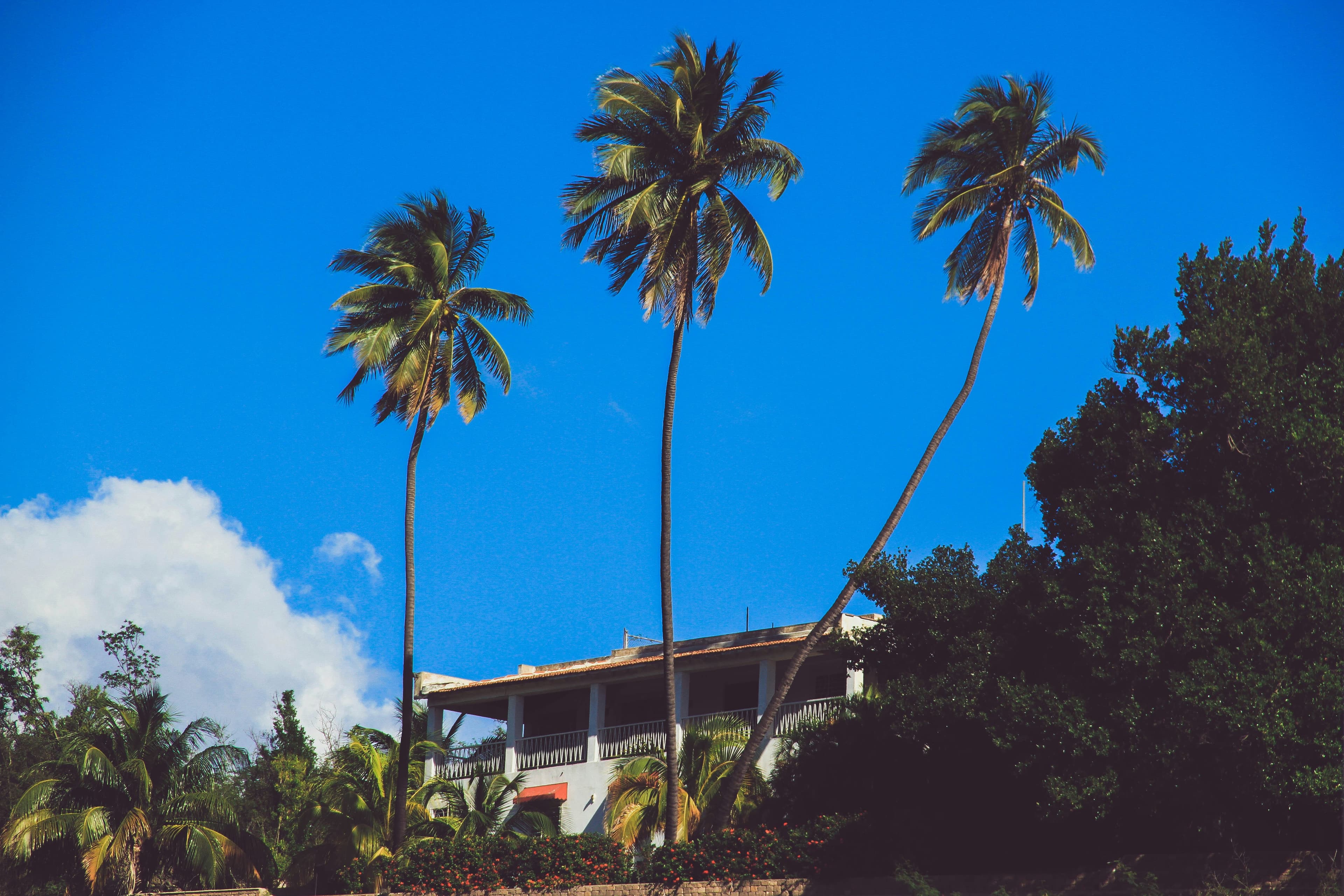 Comfortable transfer vehicle and hotel lobby